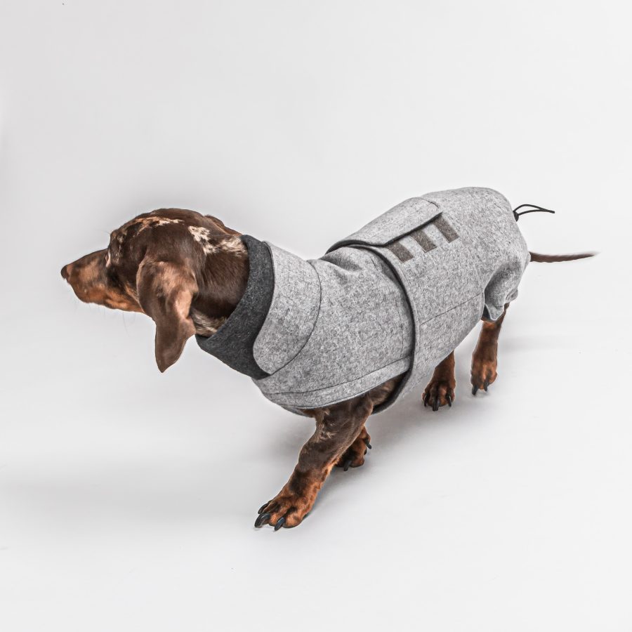 varm jacka för din hund