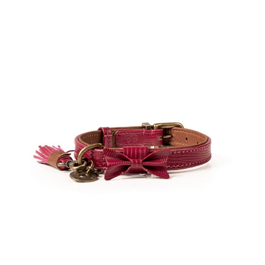 DWAM - Dog With a Mission - Bonnie halsband