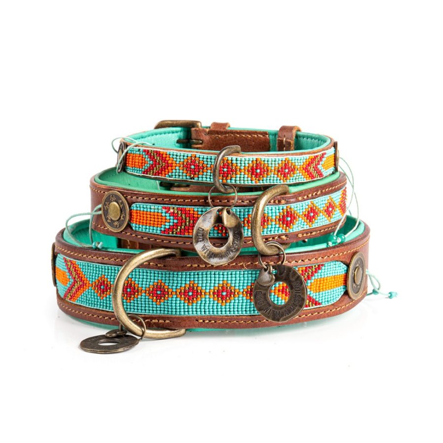 DWAM - Dog With a Mission - Paddy Lee halsband