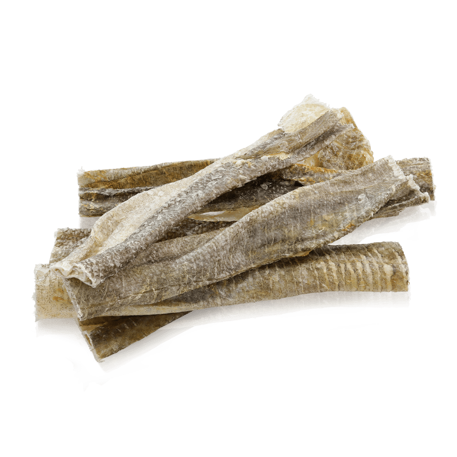 Essential Iceland Fish Delights