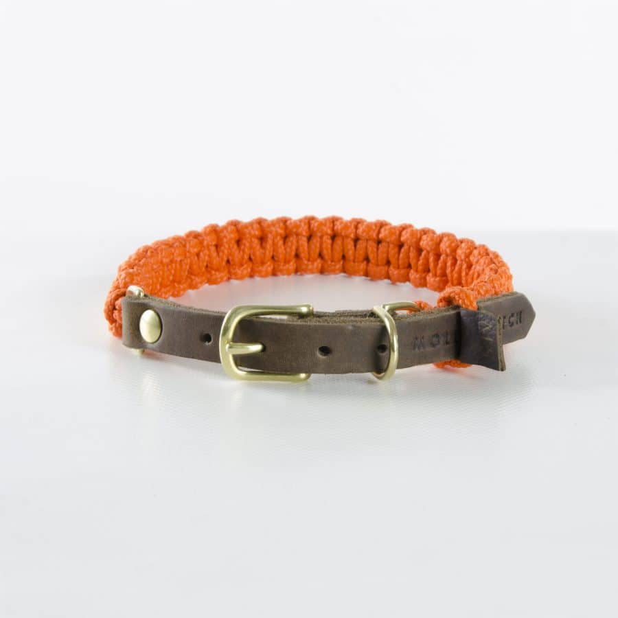 Molly and Stitch Touch of Leather Collar Pumpkin Orange - Bild 2