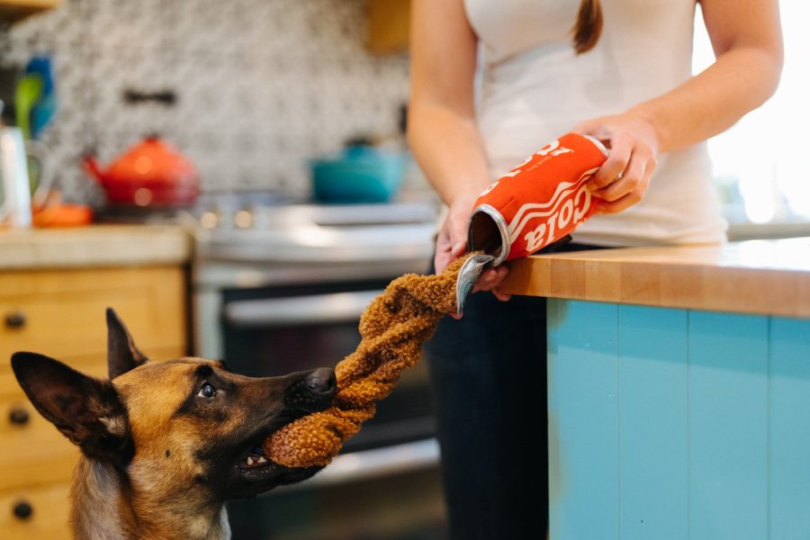 P.L.A.Y Snack Attack - Good Boy Cola - Bild 2