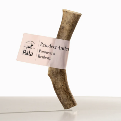 Pala Reindeer Antler