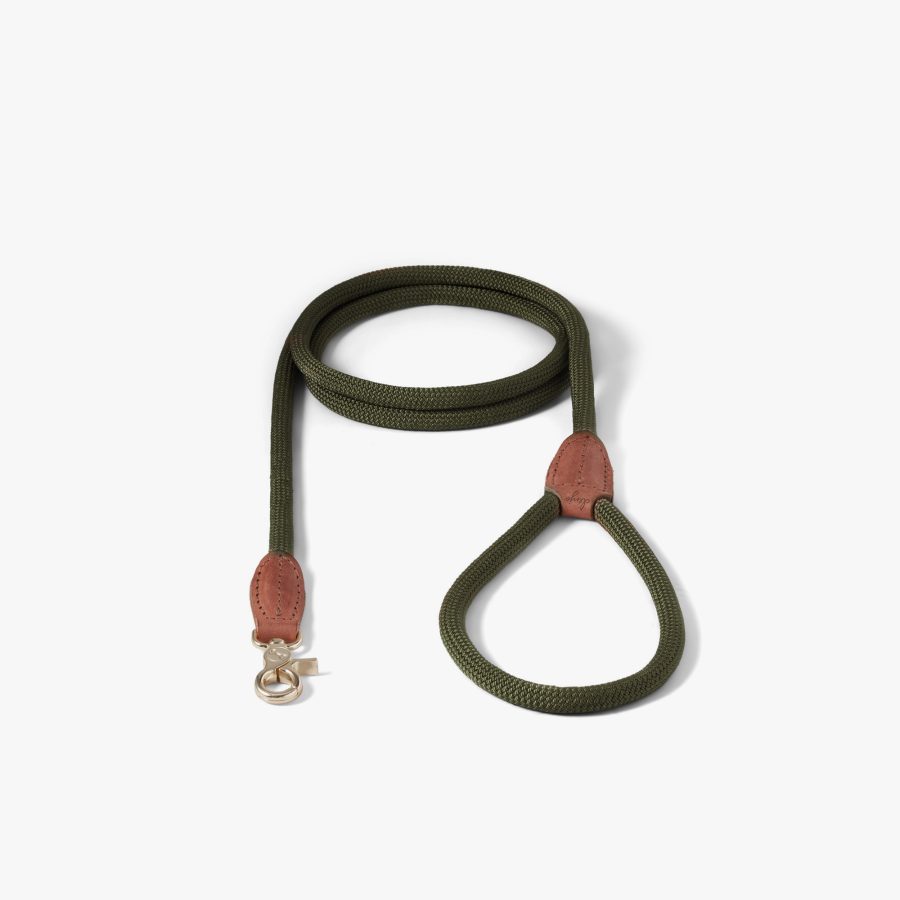 Denjo Dogs Citykoppel Torekov Shimmer Green