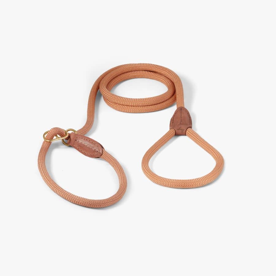 Denjo Dogs Retrieverkoppel Torekov Dusty Peach
