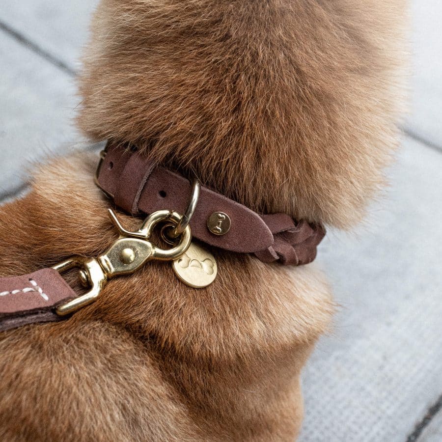 Denjo Dogs Stockholm halsband - Bild 2