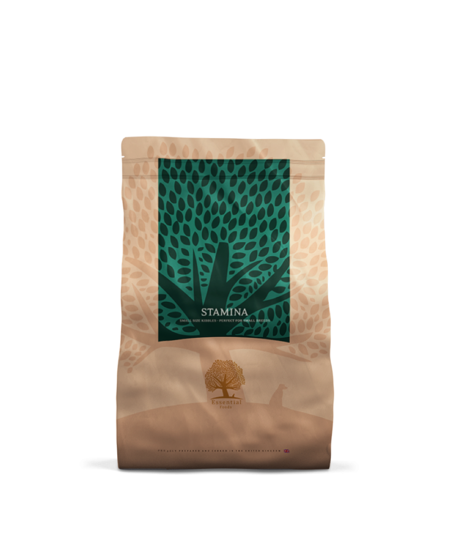 Essential Stamina Small Size 2,5kg