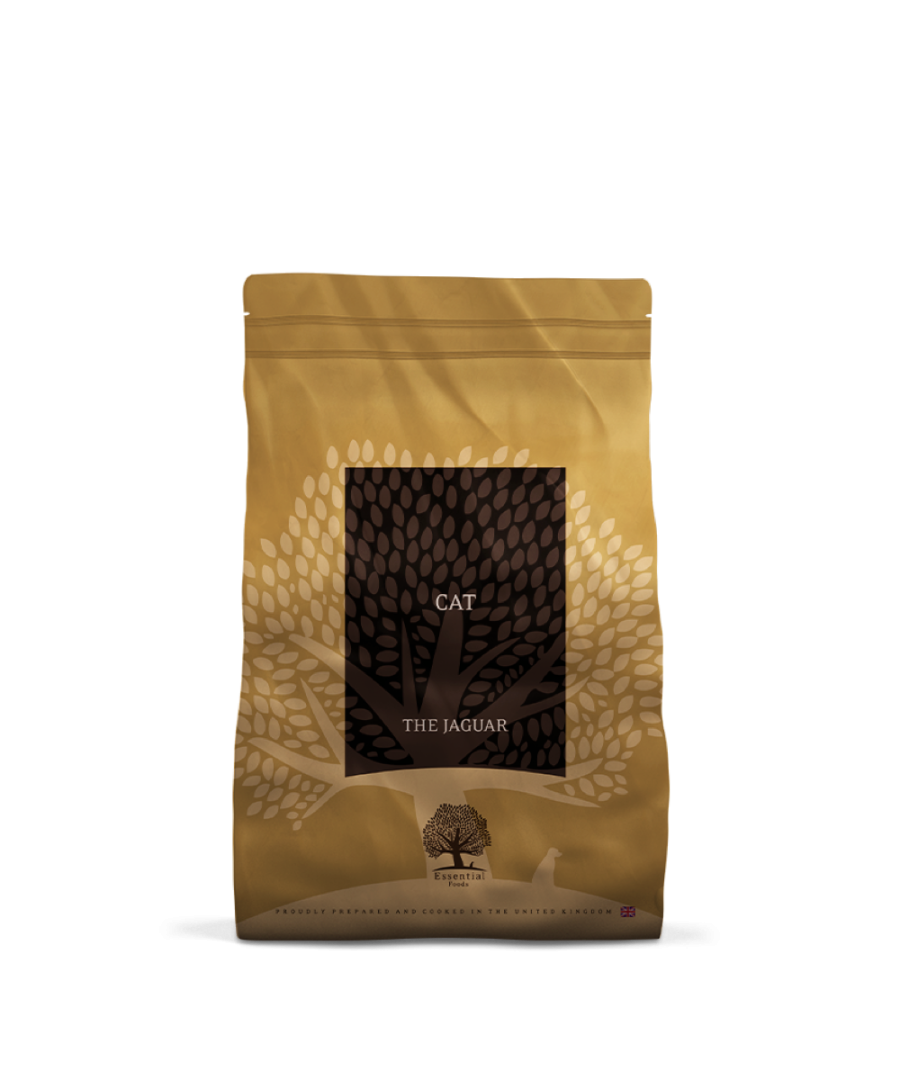 Essential The Jaguar