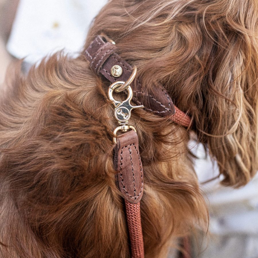 Denjo Dogs Hundhalsband Torekov Rusty Bronze - Bild 2