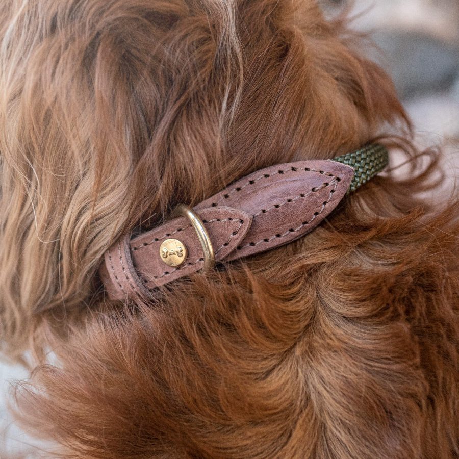 Denjo Dogs Hundhalsband Torekov Shimmer Green - Bild 2