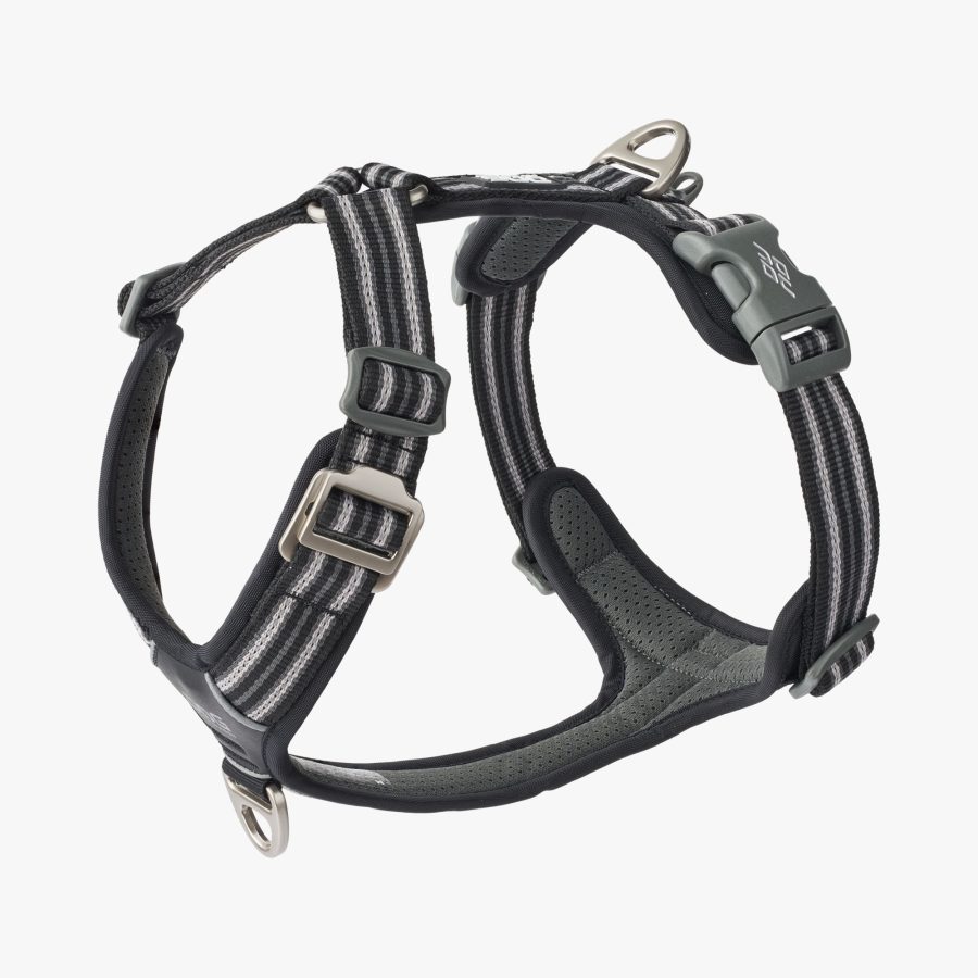 Dog Copenhagen Comfort Walk Air™ Harness Black