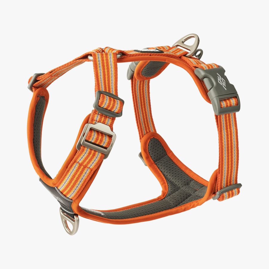 Dog Copenhagen Comfort Walk Air™ Harness Orange Sun