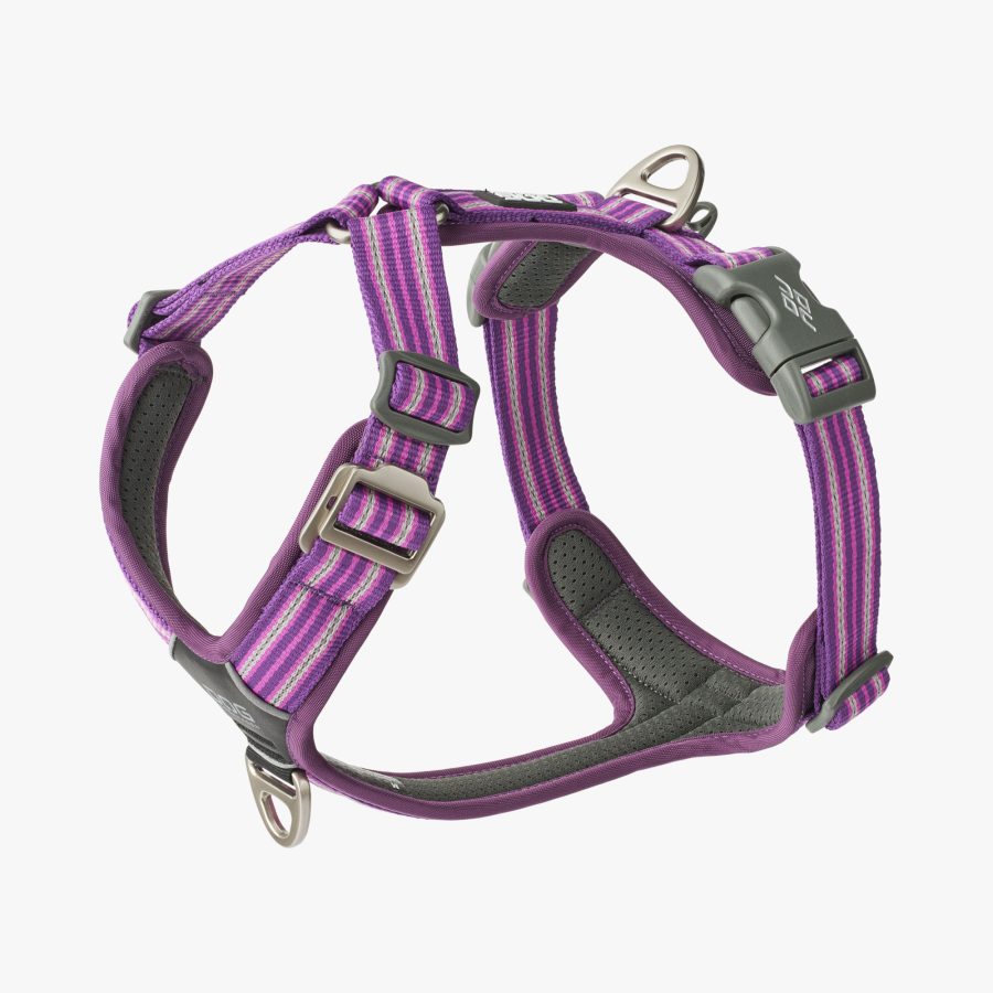 Dog Copenhagen Comfort Walk Air™ Harness Purple Passion