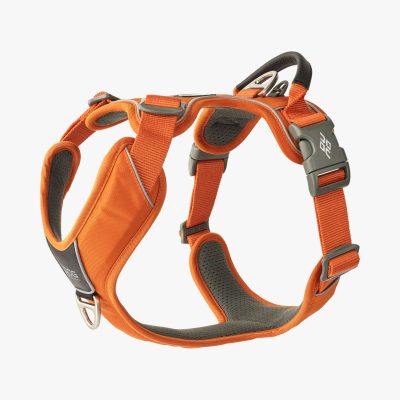 Dog Copenhagen Comfort Walk Pro™ Harness Orange Sun