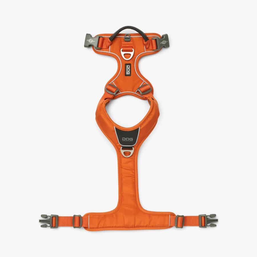 Dog Copenhagen Comfort Walk Pro™ Harness Orange Sun - Bild 4