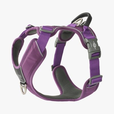 Dog Copenhagen Comfort Walk Pro™ Harness Purple Passion