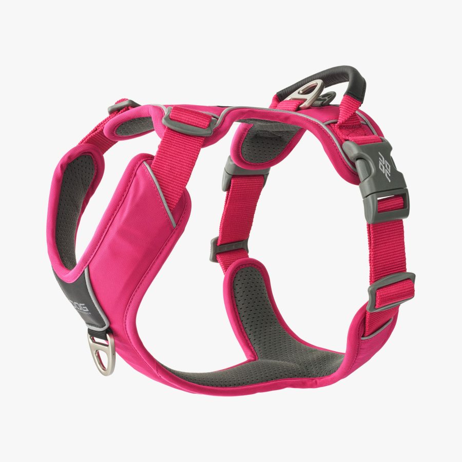 Dog Copenhagen Comfort Walk Pro™ Harness Wild Rose