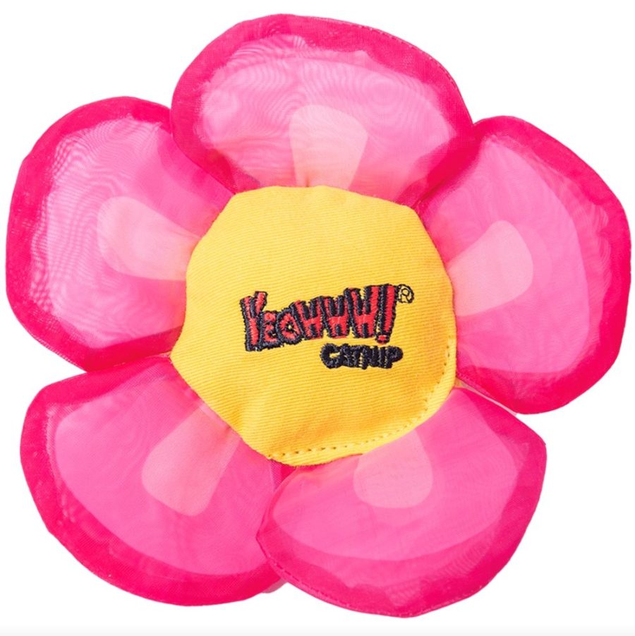 Yeowww!  Daisy´s Flower Tops Rosa