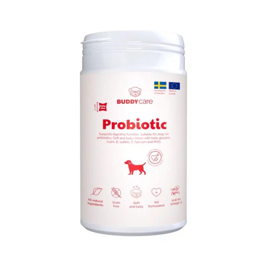 Buddy Probiotic Chews