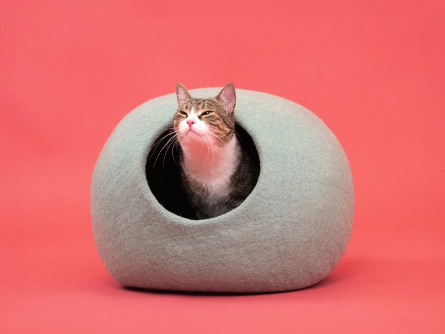 My Felt Cave Fine