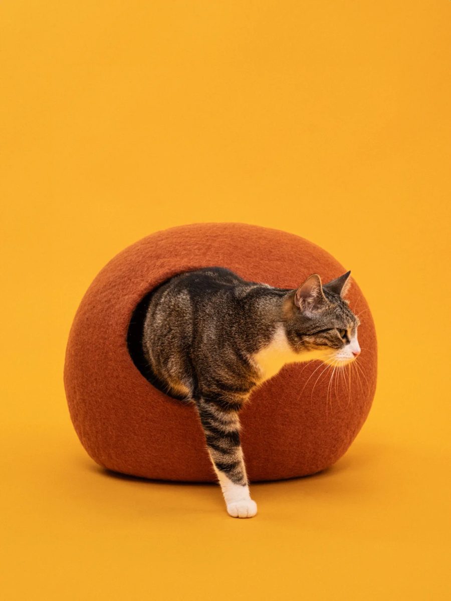 My Felt Cave Lora