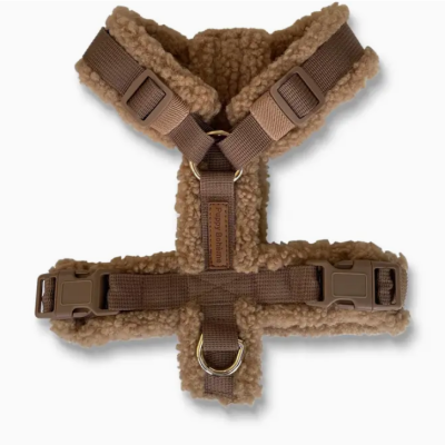 Puppy Bohème Teddy Sele