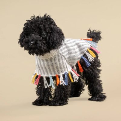 Alqo Wasi Rainbow Fringe Alpacka Poncho