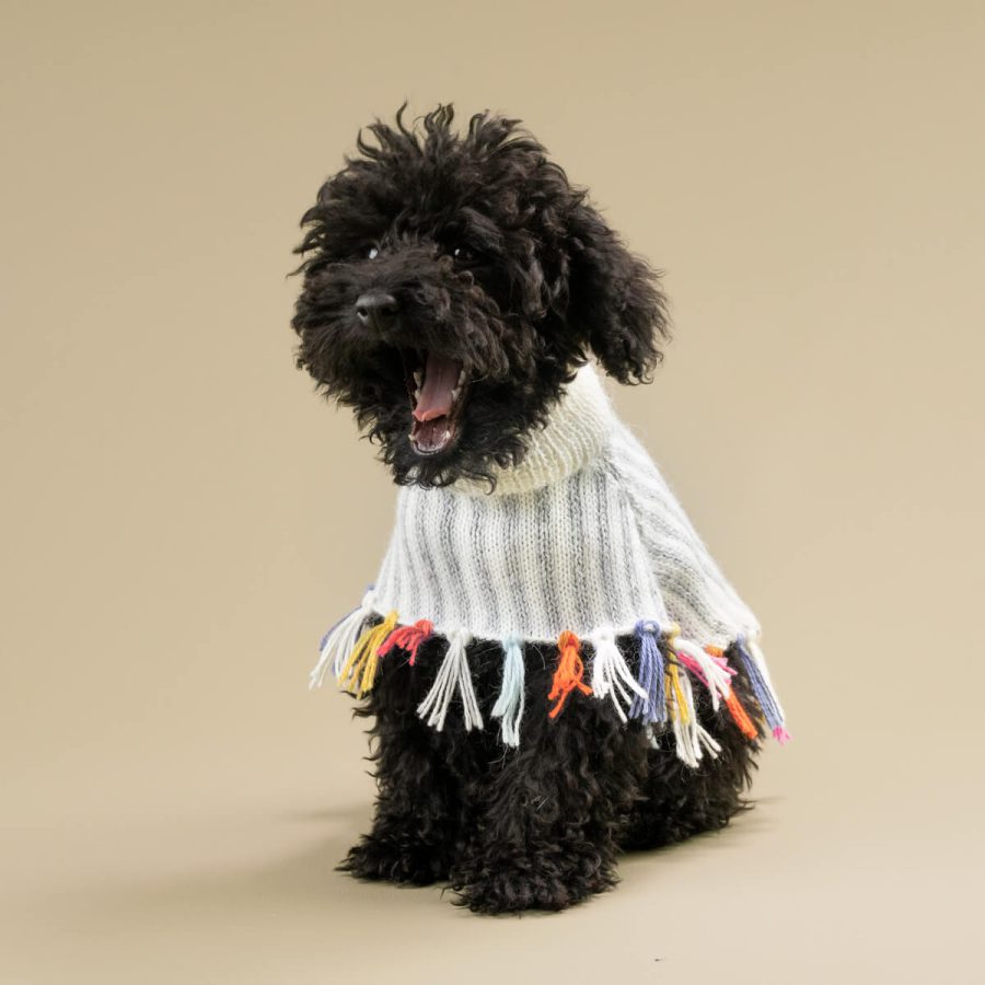 Alqo Wasi Rainbow Fringe Alpacka Poncho - Bild 2