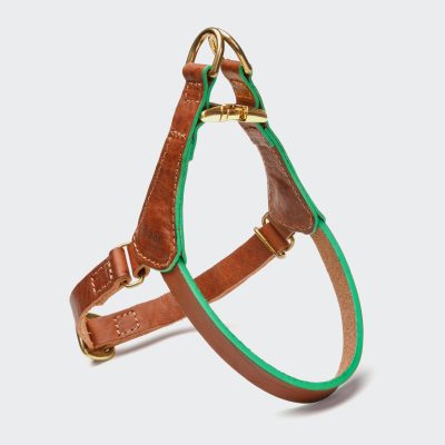 Cloud7 Hundsele Prince Park Cognac/Green