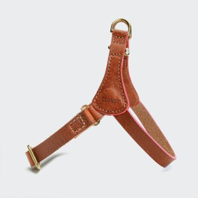 Cloud7 Hundsele Prince Park Cognac/Pink