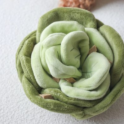 Pups & Bubs Snuffle Cabbage Berikningsleksak