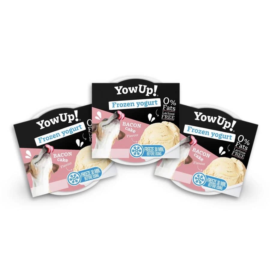 Yow Up! Bacon Cake Yogurt Ice Cream