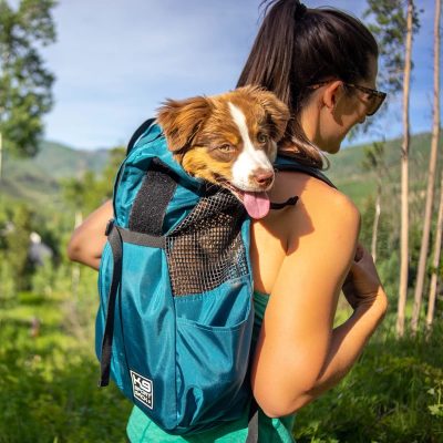 K9 Sport Sack Trainer Harbor Blue
