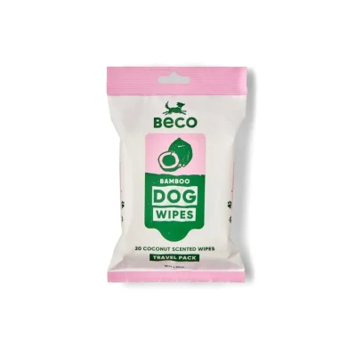 Bamboo Travel Wipes - Coconut Scented - 20 Pack