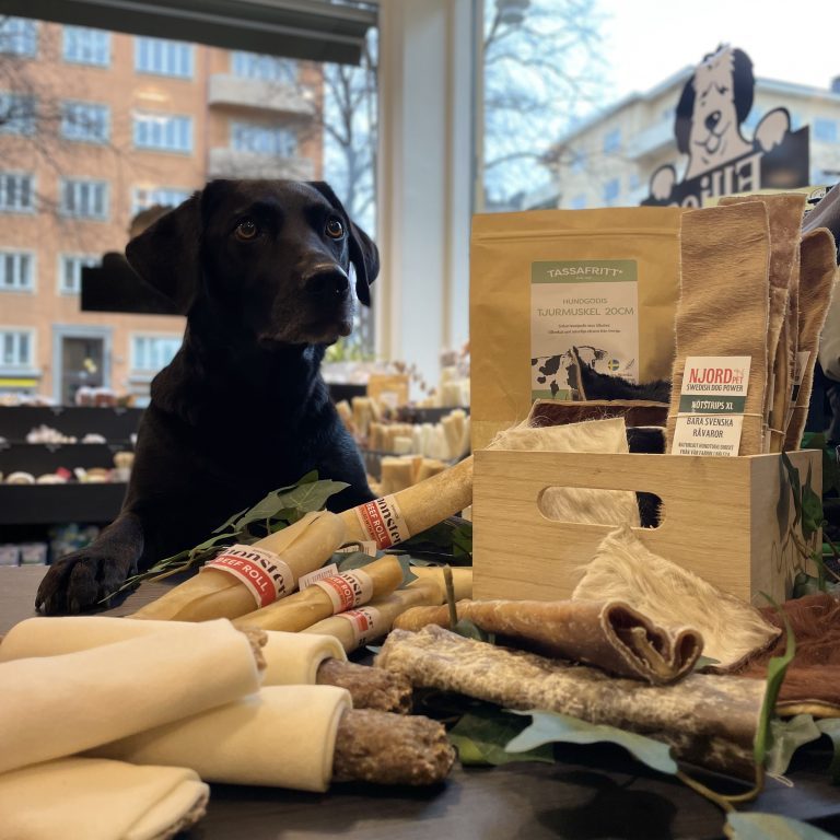 HUNDGODIS & TUGG FRÅN NORDEN
